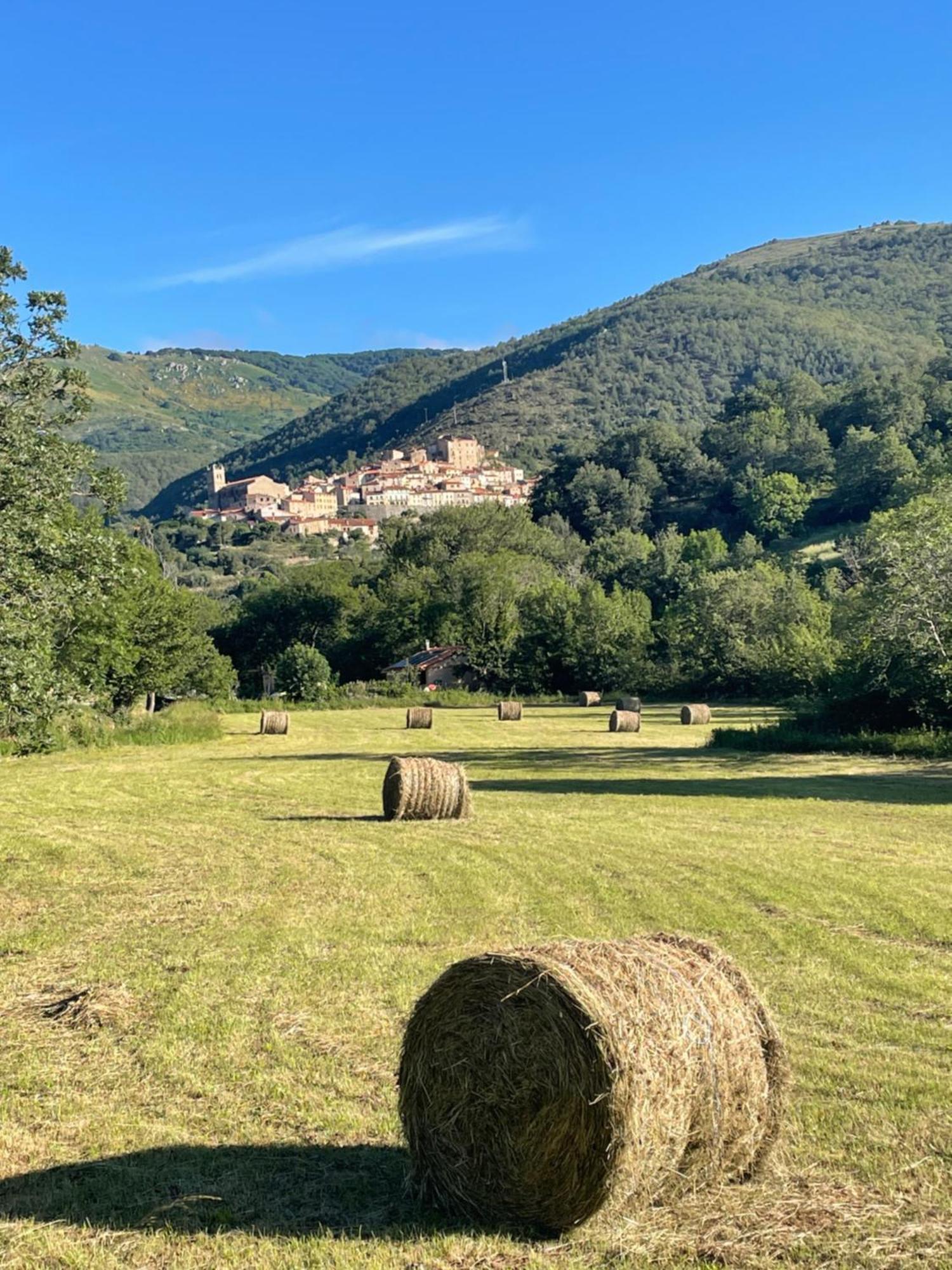 Domaine St Georges Villa Mosset Luaran gambar